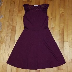 Socialite Flare Dress NWOT